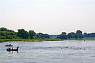 Die Schwimmer durchqueren die Elbe.