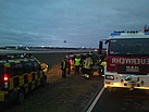 Auf dem Flughafen Berlin-Tegel wurde ein verletzter Schwan gerettet.